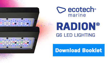 Radion G6 Lighting Guide
